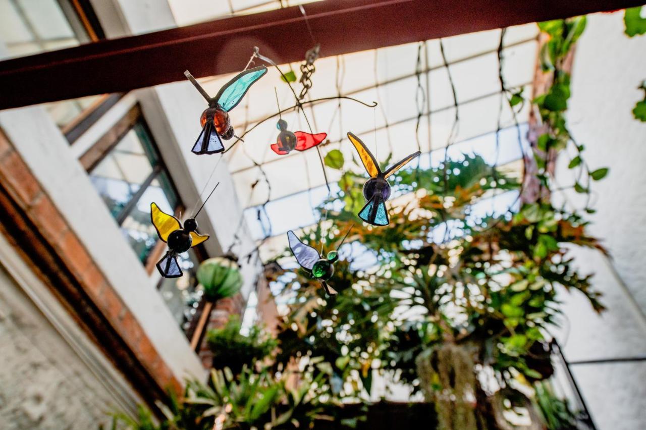 Hostel Mexico Df Airport Zewnętrze zdjęcie