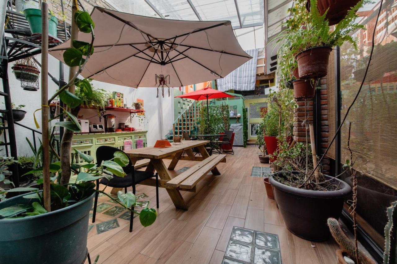 Hostel Mexico Df Airport Zewnętrze zdjęcie