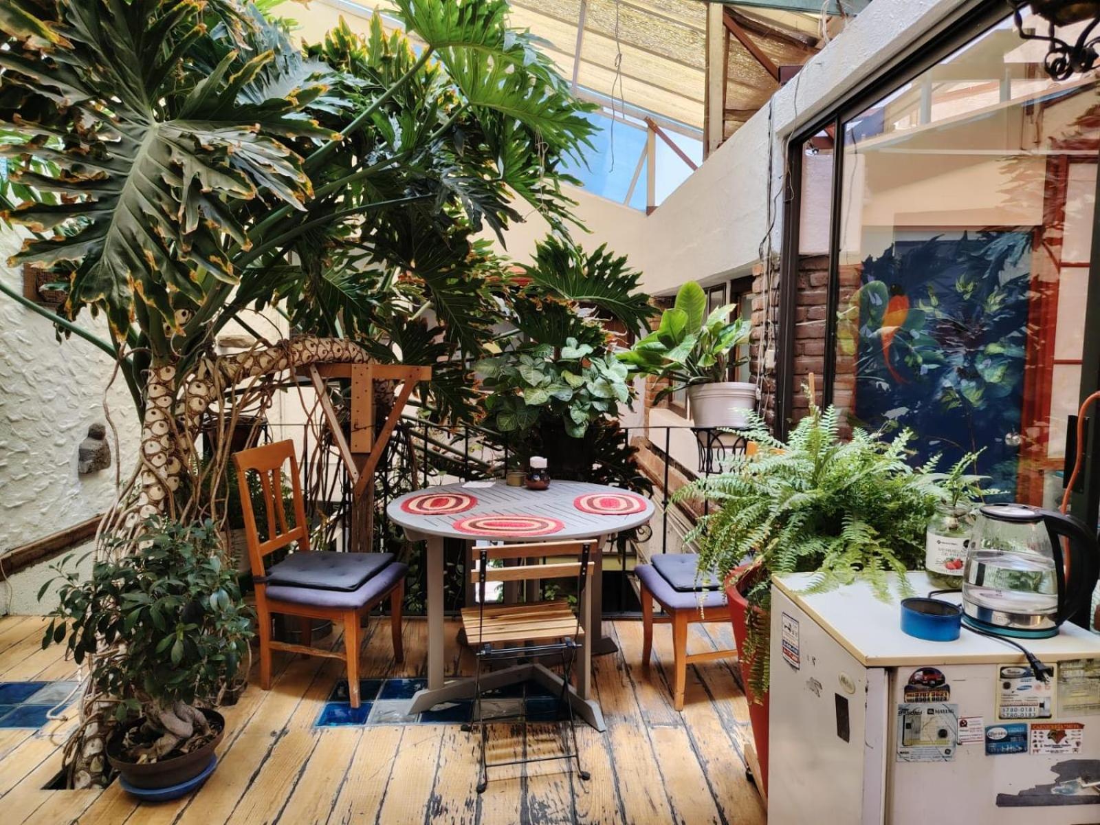 Hostel Mexico Df Airport Zewnętrze zdjęcie