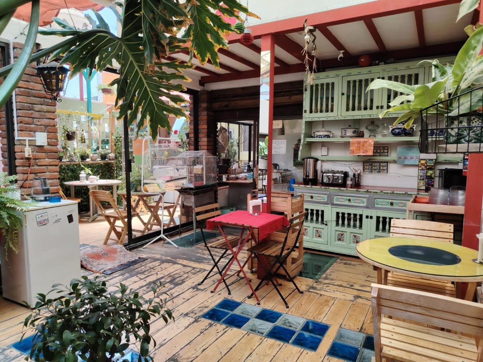 Hostel Mexico Df Airport Zewnętrze zdjęcie