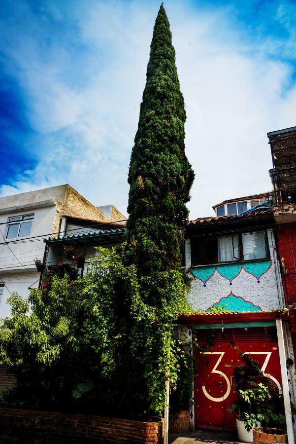 Hostel Mexico Df Airport Zewnętrze zdjęcie