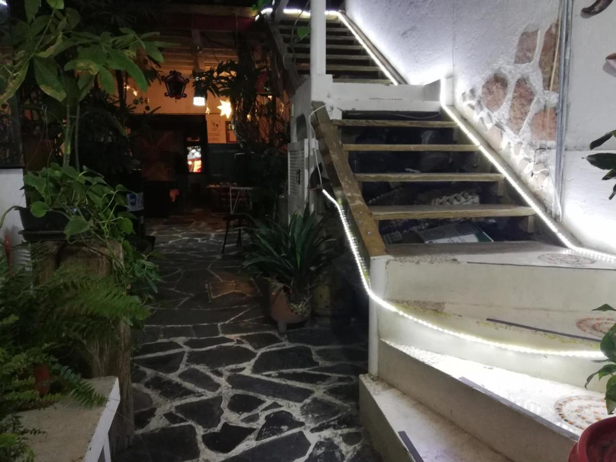 Hostel Mexico Df Airport Zewnętrze zdjęcie